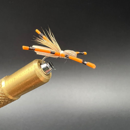 Crazy Cricket - Tan & Orange